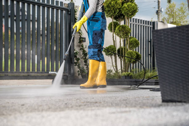 Best Sidewalk and Walkway Cleaning  in Pharr, TX