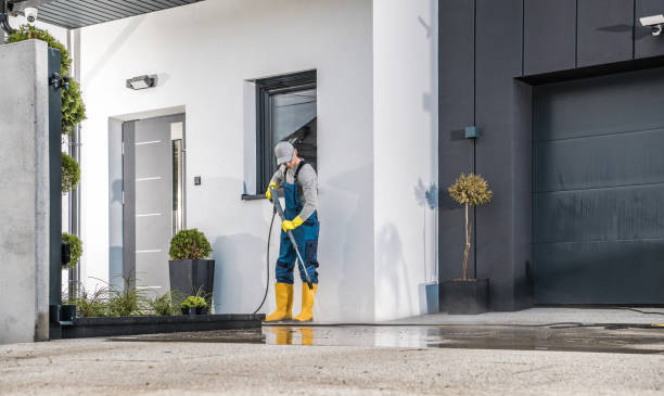 Pre-Holiday Cleaning in Pharr, TX