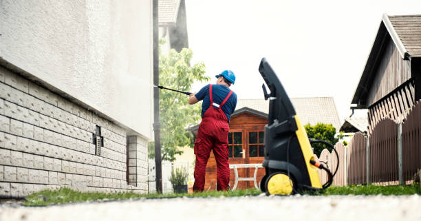 Best Graffiti Removal  in Pharr, TX